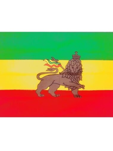 Grote vlag Lion of Judah
